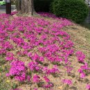 서동생활공원 이미지