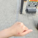 역곡3동행정복지센터 이미지