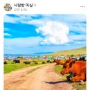 추억의사랑방