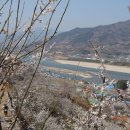 관동농장 이미지