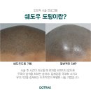 도트락강서점