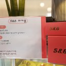 백오파스타 이미지