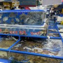 바다나라 | 가락시장 킹크랩 시세 가락시장 바다나라 킹크랩 내돈내산 후기