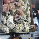 도서관에 온(on) 유튜버 이미지