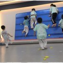 팀퍼스트 태권도장 이미지