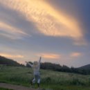 다다서치 이미지