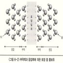 5편 - 토양의 수분 이미지