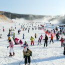 에덴밸리 이미지