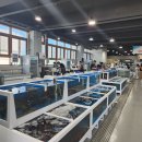 포항수협송도활어회센터 이미지