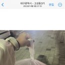 회1984
