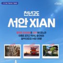 서안살롱 이미지