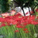 나불도 승마랜드 이미지