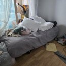 인천폐기물 | 인천 영종구 이사폐기물처리 이사짐정리를 마친 후기