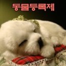 화랑근린공원 이미지