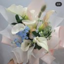 신원초등학교 | 신원중·신원초 졸업식 꽃다발 예약｜사진 잘 나오는 졸업꽃 준비는 여기서