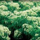 단양가스 이미지