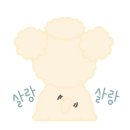 소금소금 펫살롱 이미지