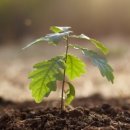 문화빌딩 이미지