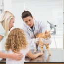 Dr.j 동물병원 이미지