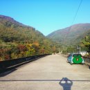 월매리(경북대부속학술림) | 죽장 배고개, 대태고개, 곰내재