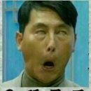 롯데지컷