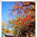조계산의 아름다운 가을 추억만들기(선암사에서 송광사까지) 이미지