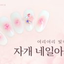 네일아트 이미지