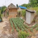 공주시탄천면덕지보건진료소 이미지