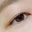 유래쉬(ULASH)