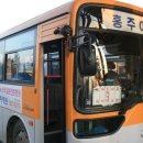 홍주여객 이미지