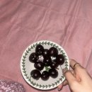 동대로(남) | 이제 슬 보내줘야할때가