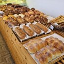 한상기베이커리 | 속초 한상기베이커리 정직하게 굽는 명장의 명품빵집 소금빵 마늘빵 식빵 크림빵 아이들간식