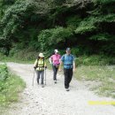 종호목장 이미지