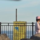 영락리 | 제주 돌고래 스팟 영락리방파제 | 남방큰돌고래 목격 후기·시간대 총정리