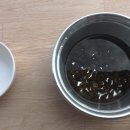 애찬펜션 이미지