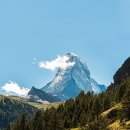 97미장원 이미지