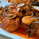 황금코다리 이미지