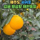 태현농장 이미지