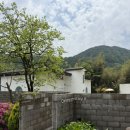 [담양 여행/애견동반 숙소]까망감 스테이2 내돈내산 후기글