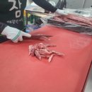 창신고기마트 이미지