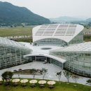 세종시청뒤편 이미지