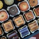 손수하다 이미지