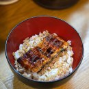 6826 | 아키하바라 장어덮밥 맛집 우나토토 내돈내산 후기