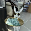 글라스타 렌즈미 이미지