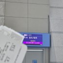 쓰촨항공 탑승후기 기내식 중국 톈푸 공항 TFU 푸바오 보러 중국 간다고?