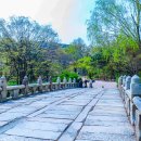 장충단공원 이미지