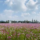 서부농업기술센터 이미지