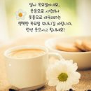 2월 15일 목 서울방 출부 ~ 비소식~~~ 이미지