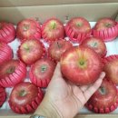 분지농장 이미지