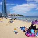 해운대해수욕장 이미지